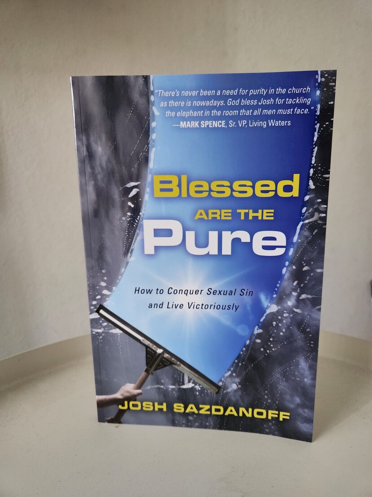 "Blessed are the Pure" Book on Sexual Purity For Men