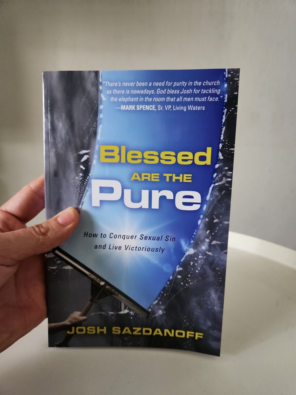 "Blessed are the Pure" Book on Sexual Purity For Men